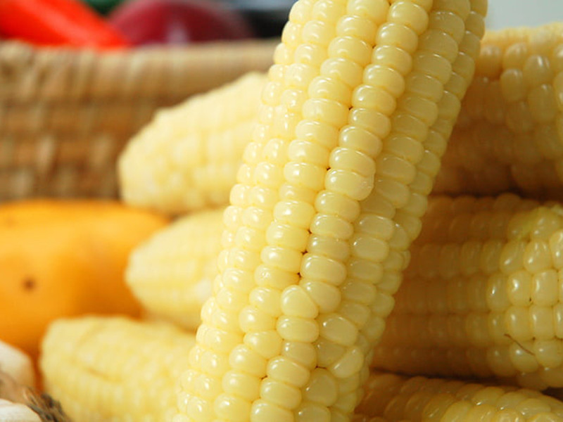 糧食重金屬超標(biāo)的原因及檢測(cè)方法