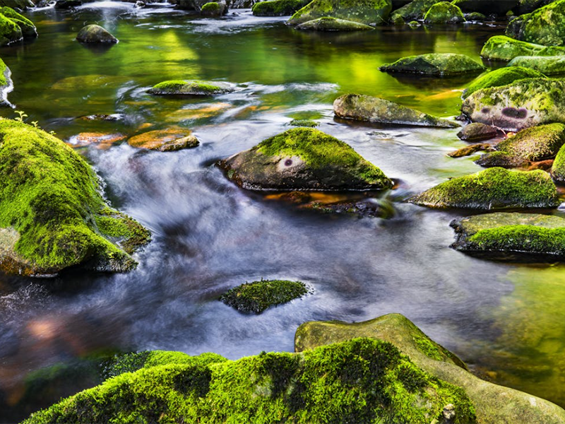 氨氮測定儀操作步驟