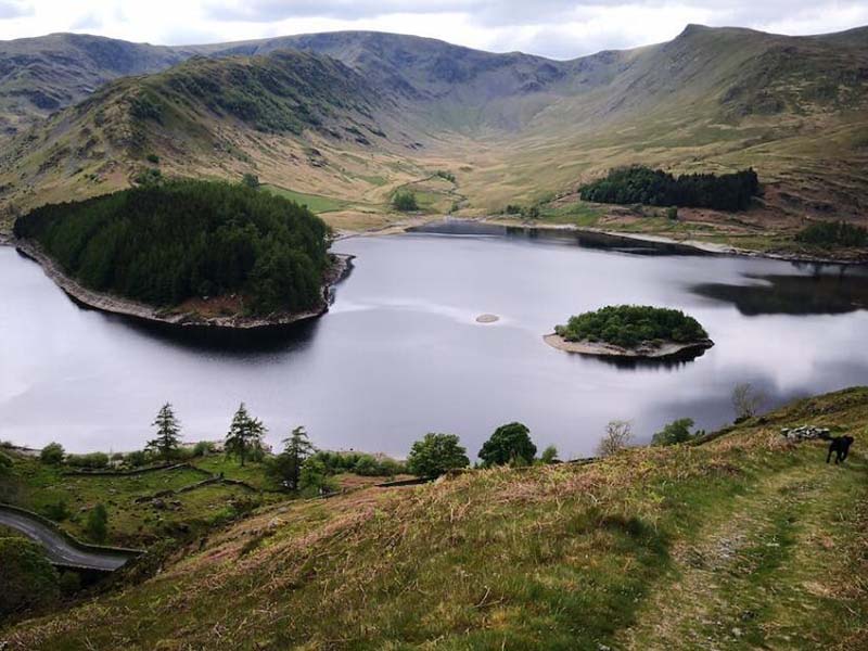 在線COD分析儀使用要求