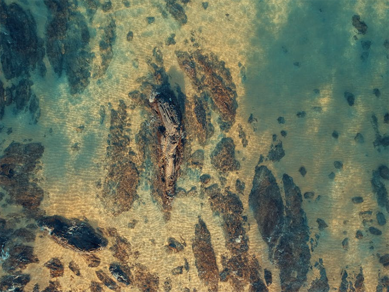 全自動(dòng)紅外測(cè)油儀原理（全自動(dòng)紅外測(cè)油儀使用注意事項(xiàng)）