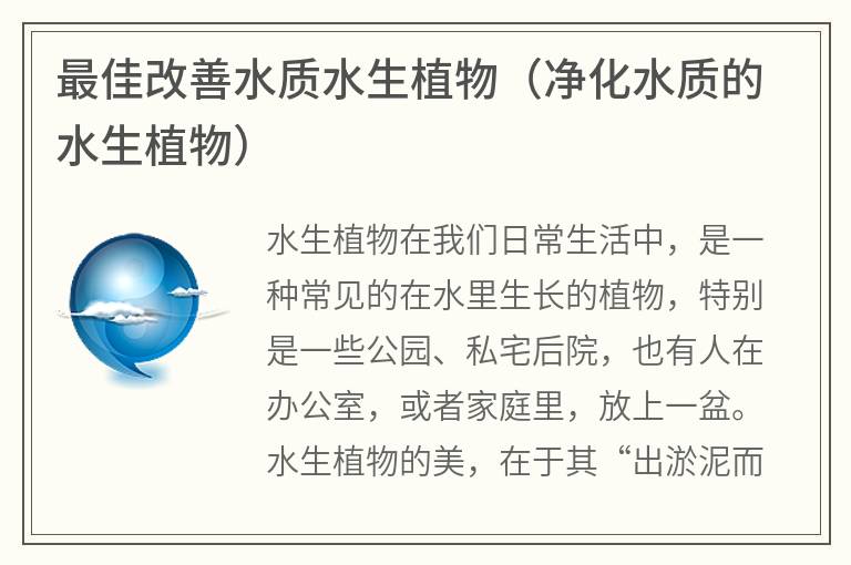 最佳改善水質(zhì)水生植物(凈化水質(zhì)的水生植物) 最佳改善水質(zhì)水生植物(凈化水質(zhì)的水生植物)