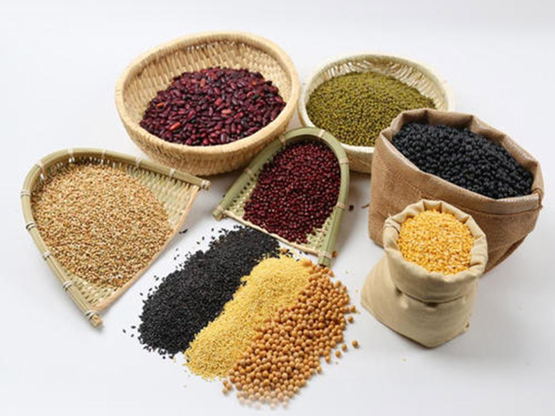 糧油檢測(cè)儀的重要性 9.jpg